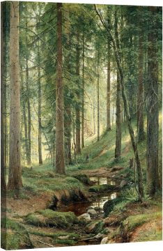 Поток в гората