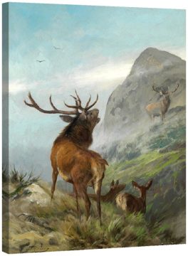 Рев на  благороден елен