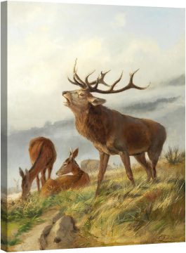 Ревящ елен с кошути 1871