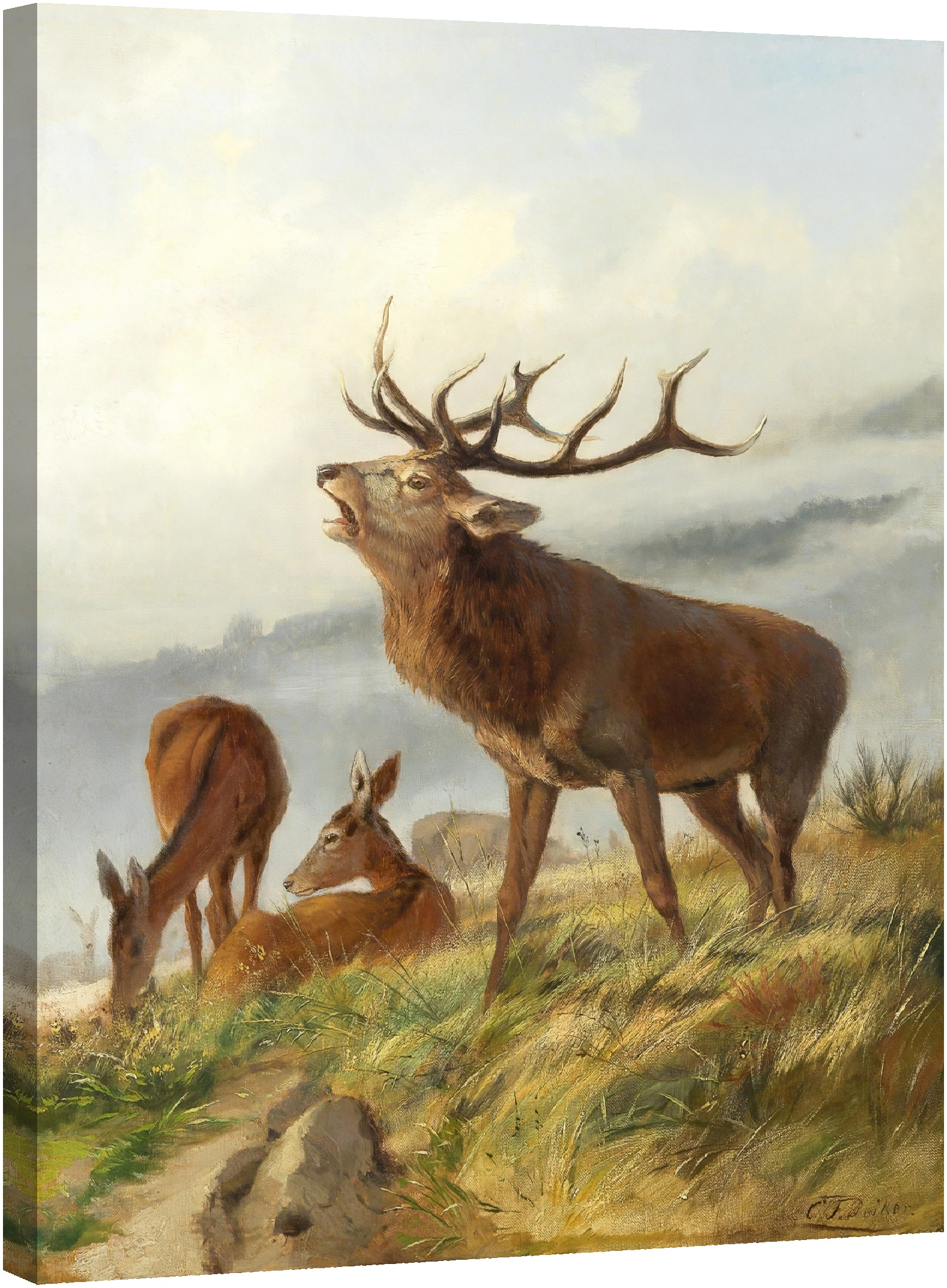 Ревящ елен с кошути 1871