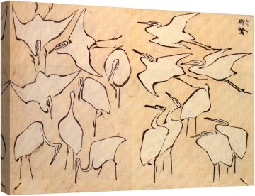 Рисунки на чапла