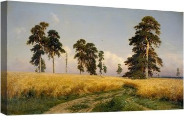 Ръжено поле