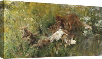 Семейство лисици