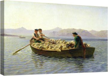 Роза Боньор