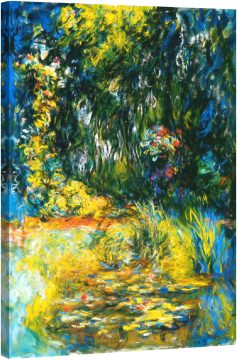 Ъгъл на езерото с водни лилии