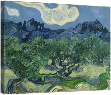 Маслинени дървета