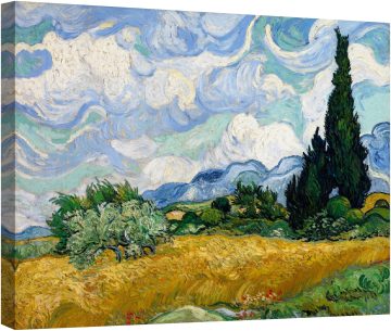 Поле с кипариси