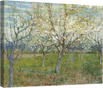 Розовата овощна градина