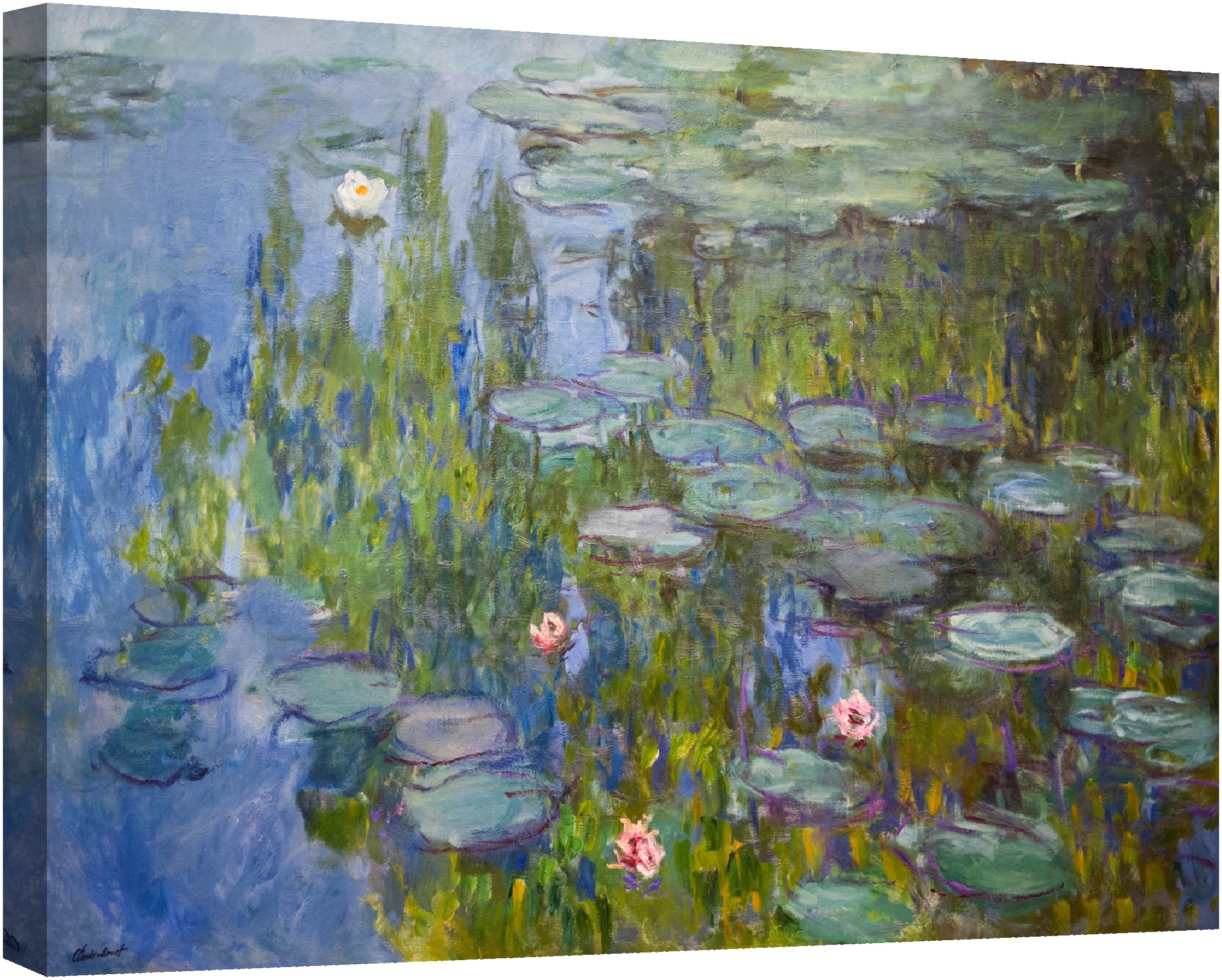 Водни лилии 1