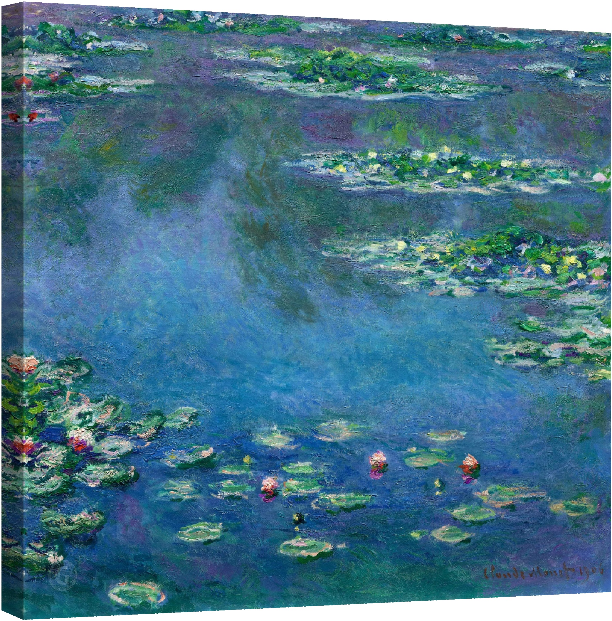 Водни лилии