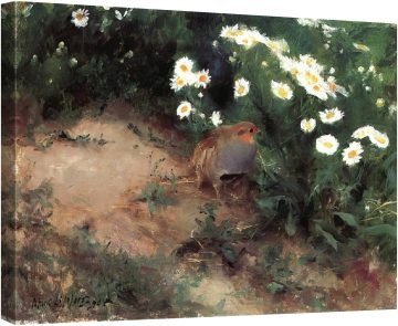 Яребица с маргаритки