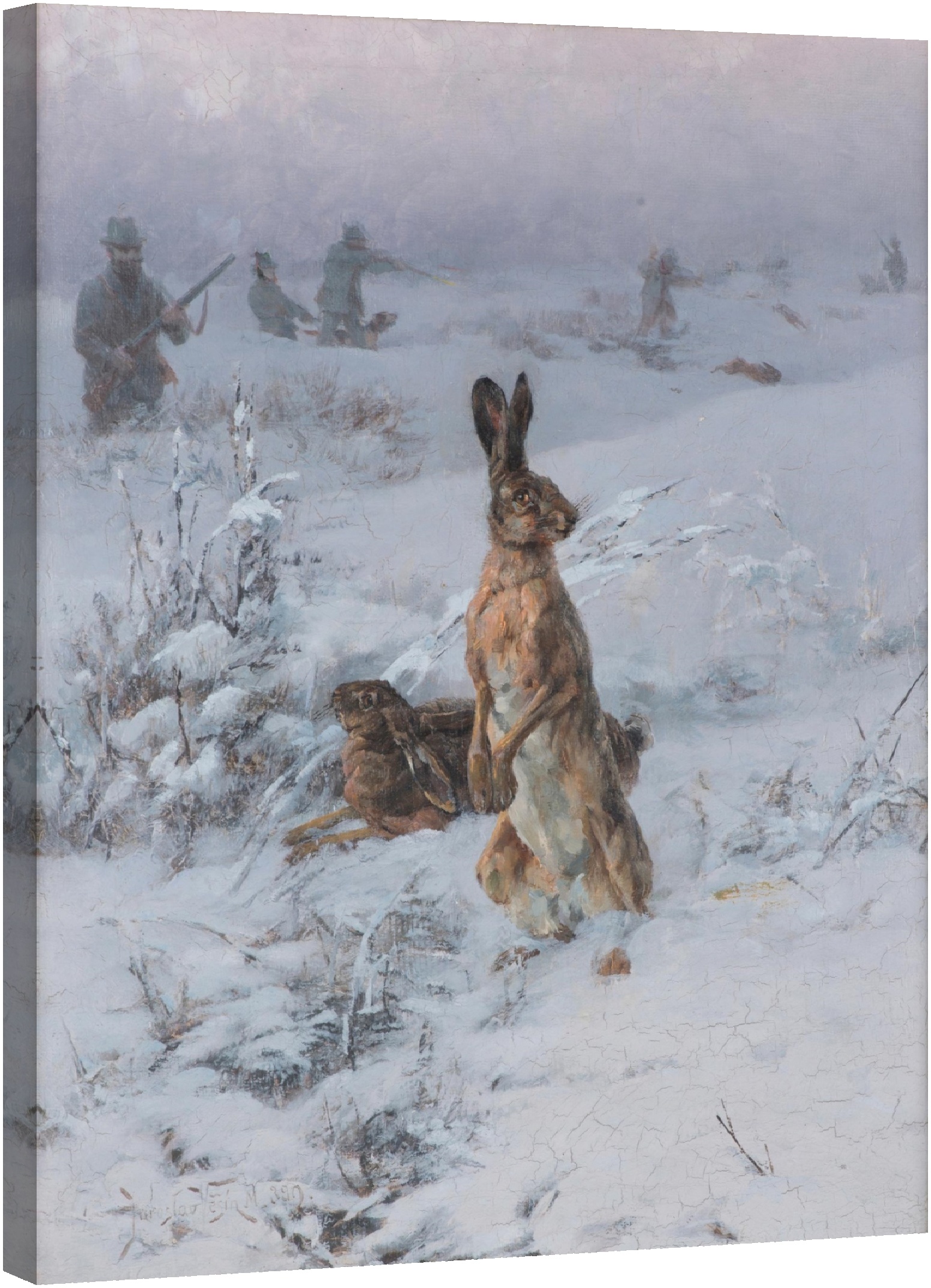 Заек 1892