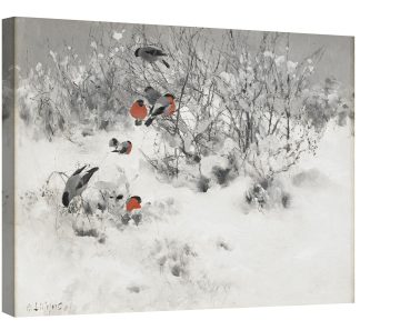 Зимен пейзаж с финки 1891