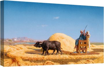 Зърно вършачи 1859