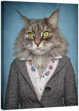 Човек с глава на котка