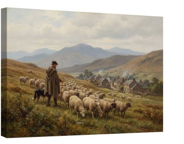 Cântecul lui Shepherd