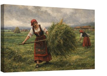 Recolta