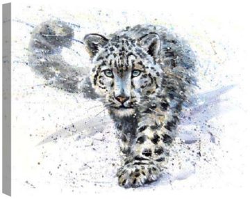 Leopard de zăpadă