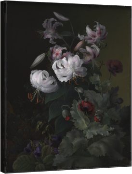 Flori