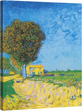 Arles alee cu case