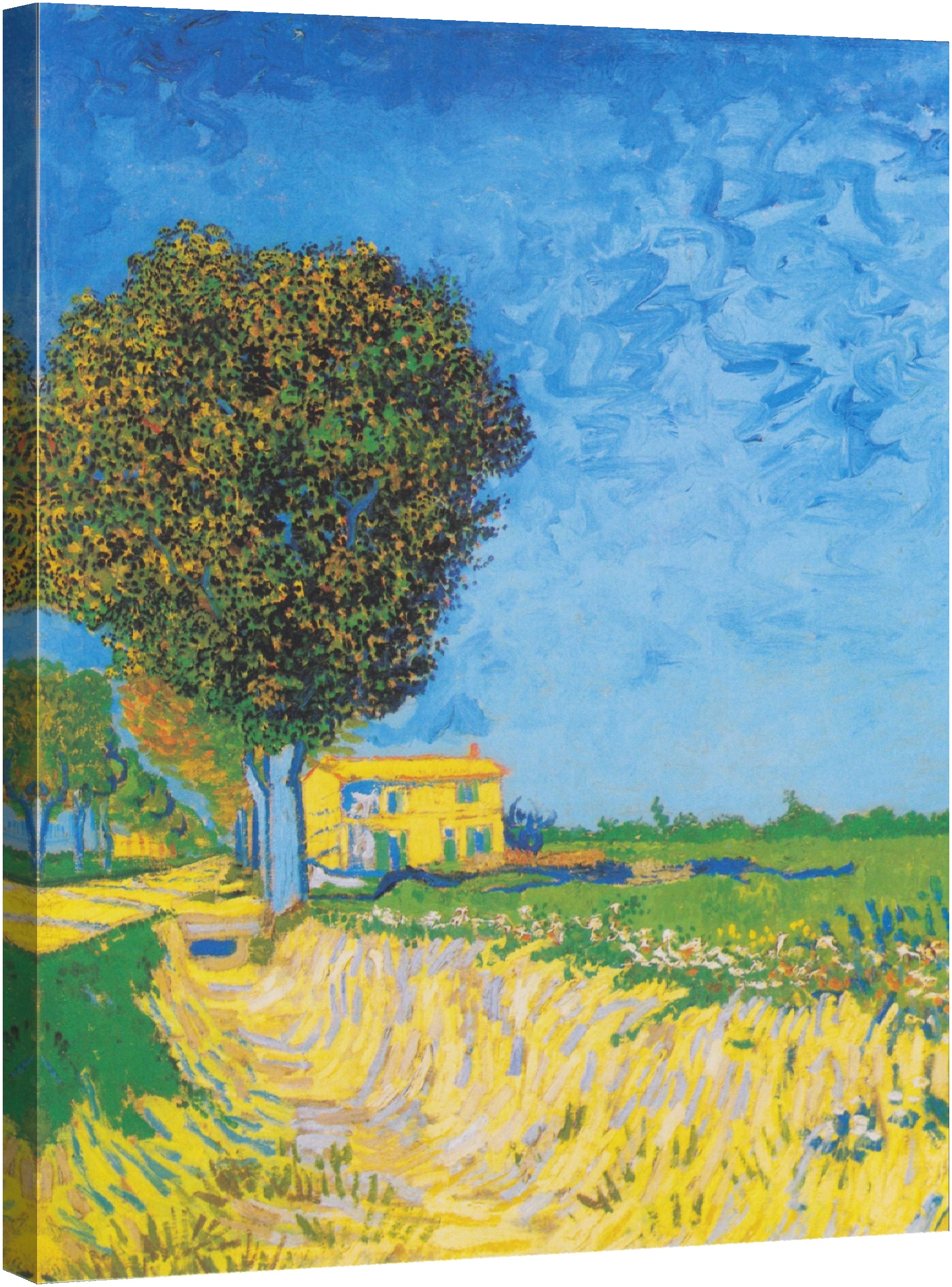 Arles alee cu case