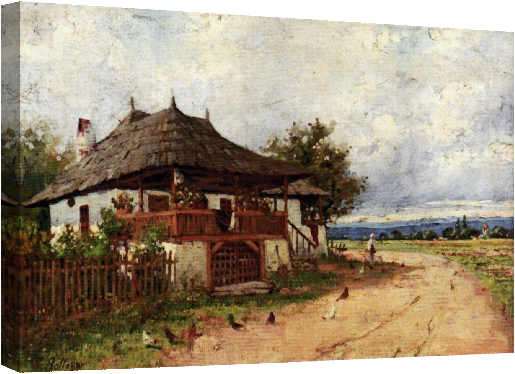Casa de tara