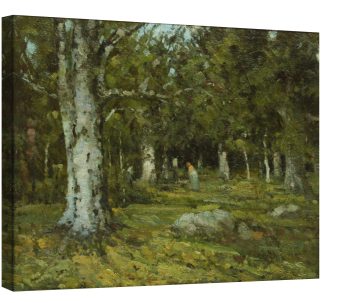 Interior-de-padure