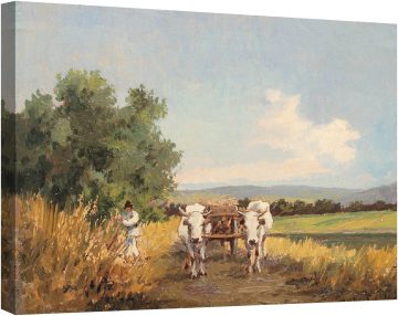 Intoarcerea de la camp (1)