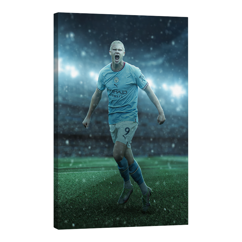 Ерлинг Браут Холанд