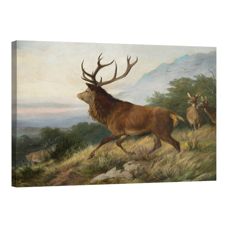 Благороден елен на хълм 1888