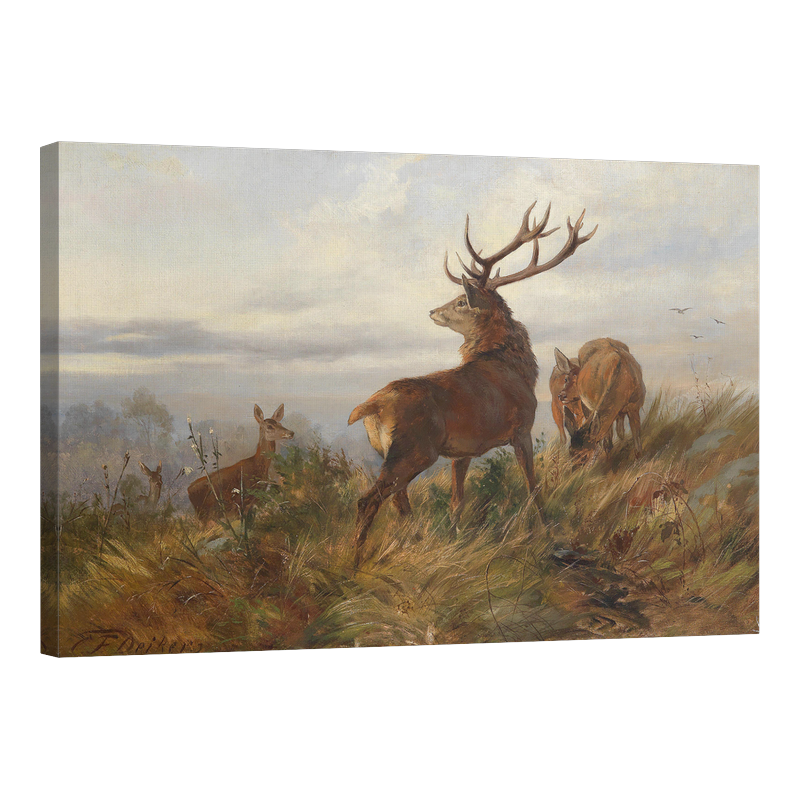 Благороден елен в зори