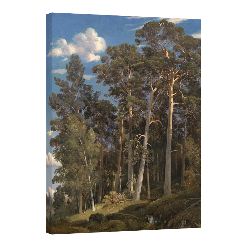 Борова гора (1866)