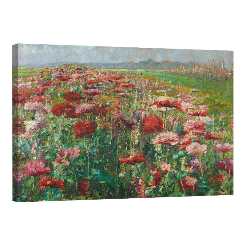 Цъфтящи макове 1900