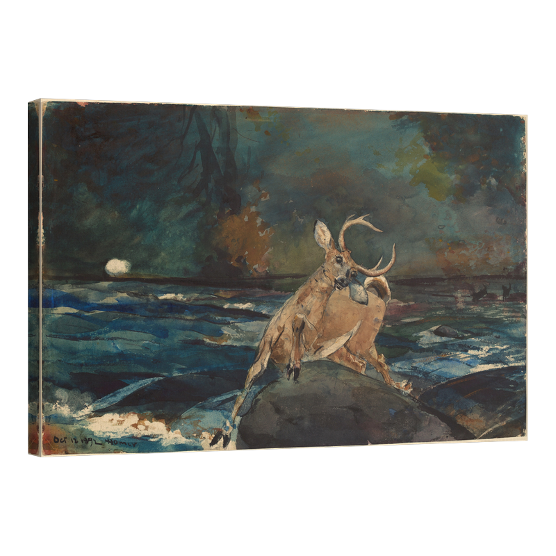 Добър удар, Адирондакс