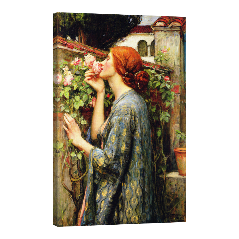 Душата на розата 1908