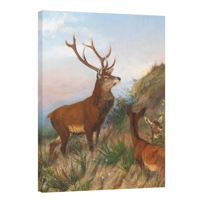 Елен по здрач 1871