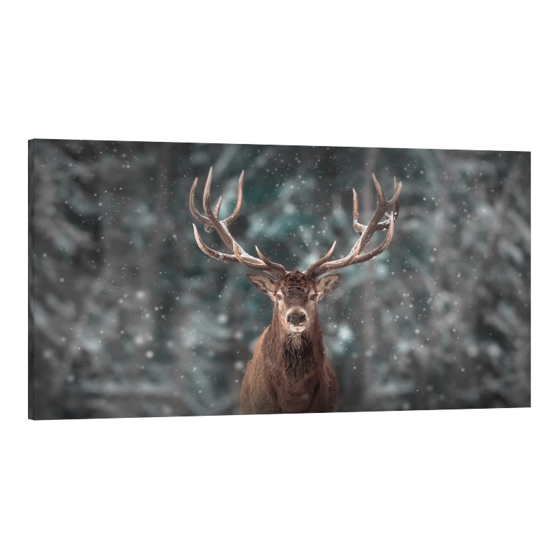 Елен в снега