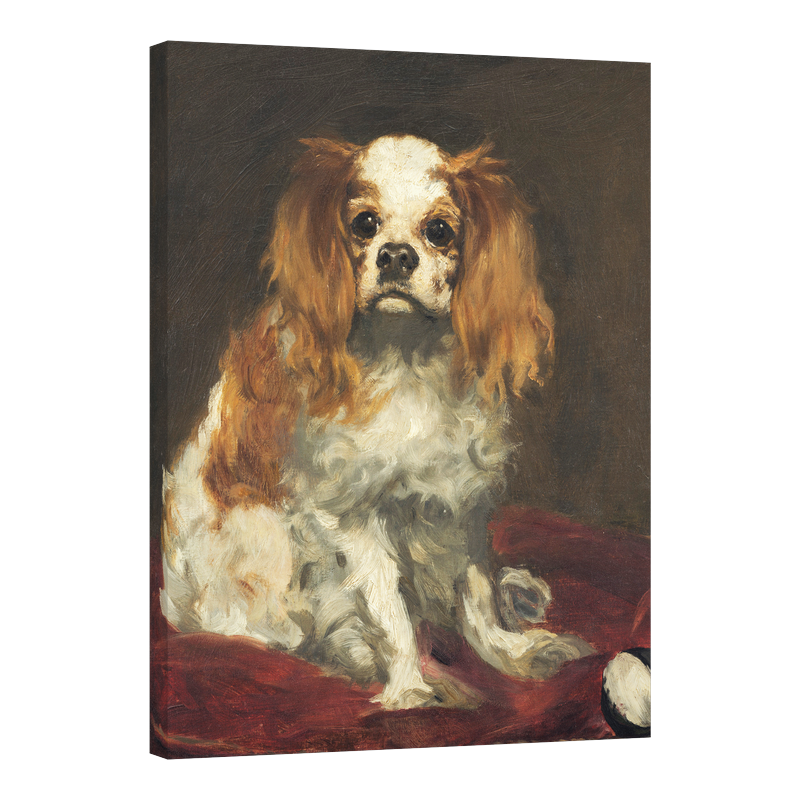 Кинг Чарлс Шпаньол