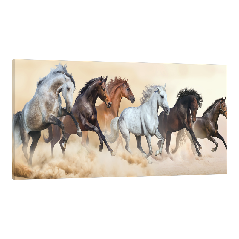 Коне в буря