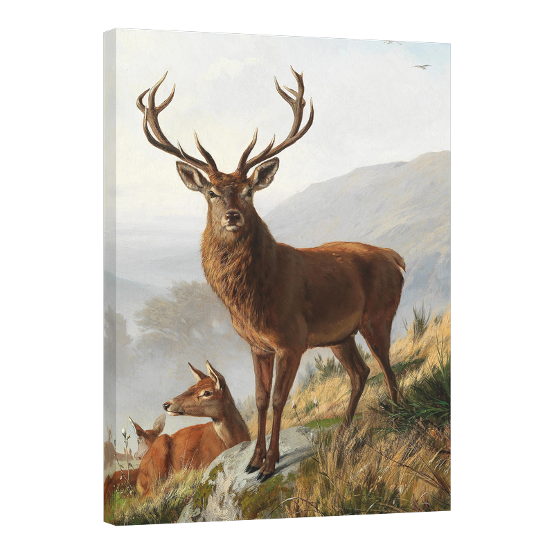 Кралски елен