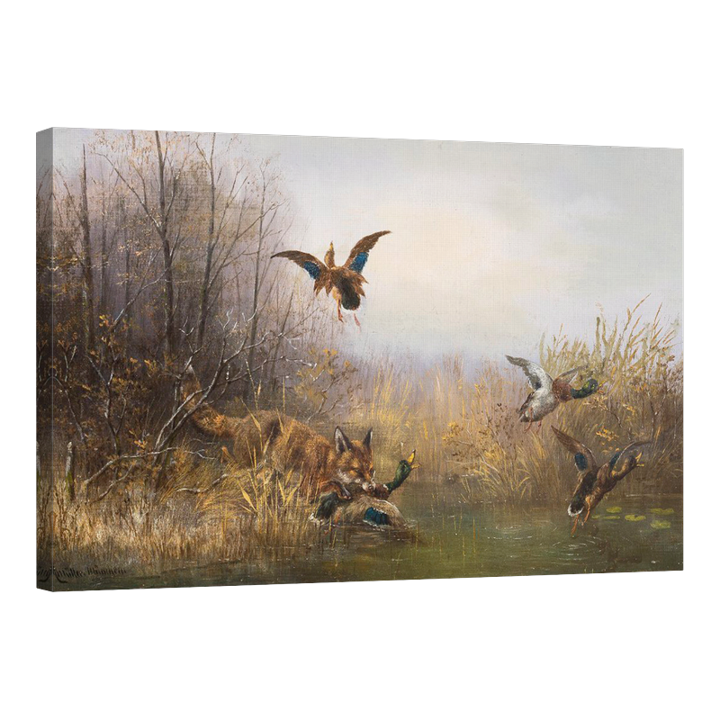 Лисицата хваща дива патица на брега на езерото