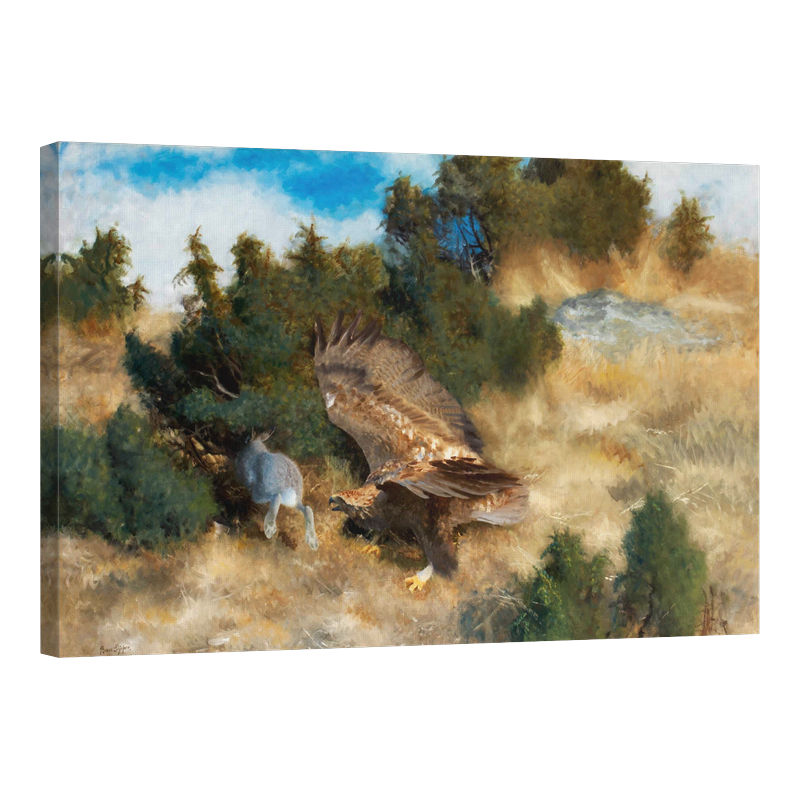 Лов на заек