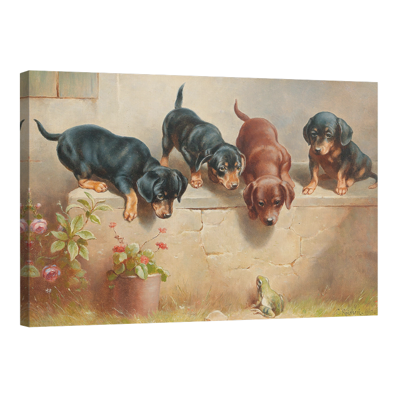 Любопитни кученца и жаба