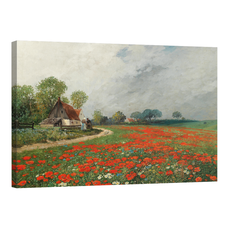 Маково поле с маргаритки