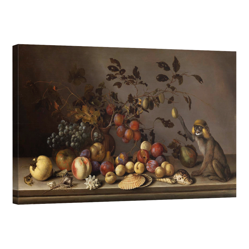 Натюрморт с плодове, рапани и маймуна