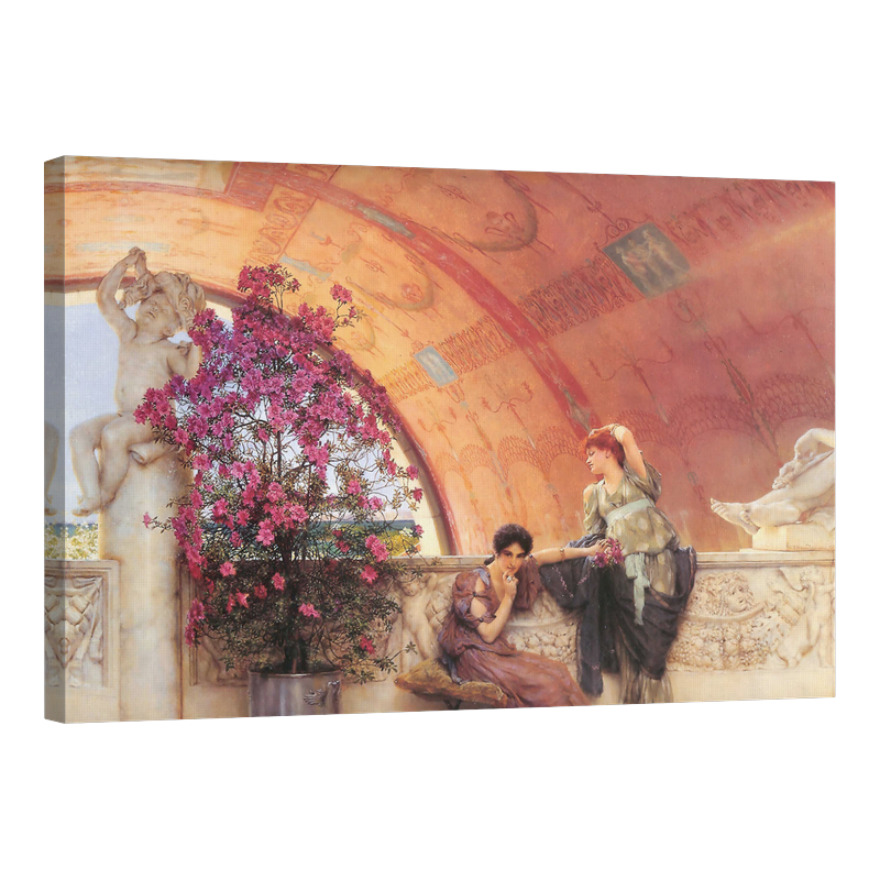 Несъзнателни съперници 1893