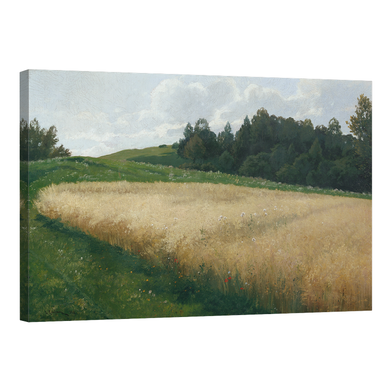 Поле с овес