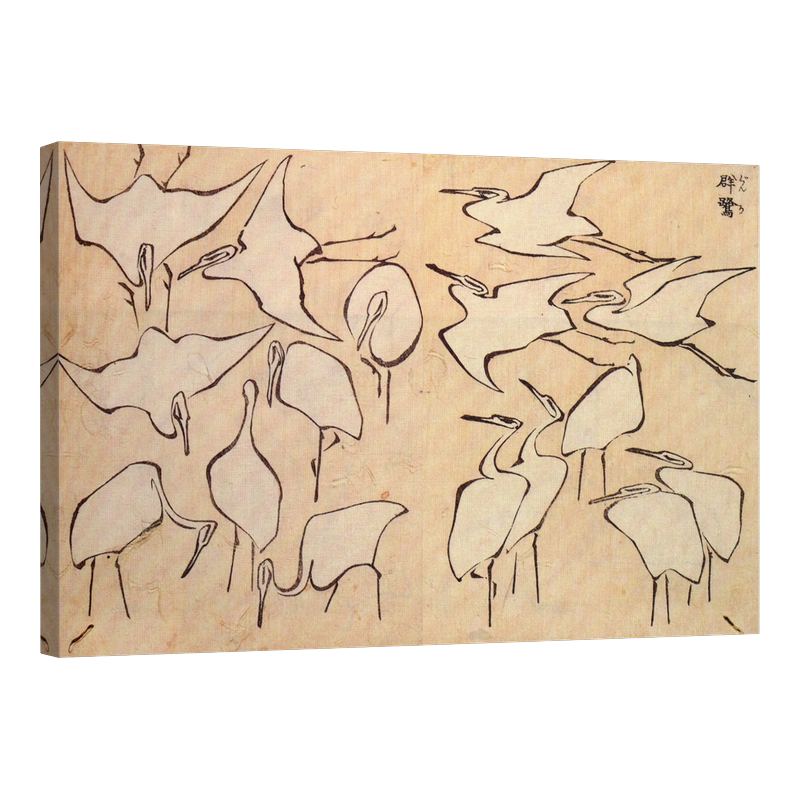 Рисунки на чапла