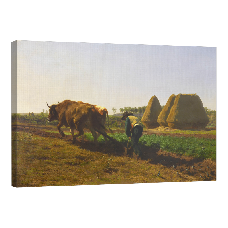 Сцена на оран 1854