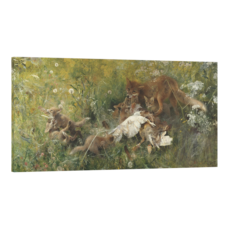 Семейство лисици